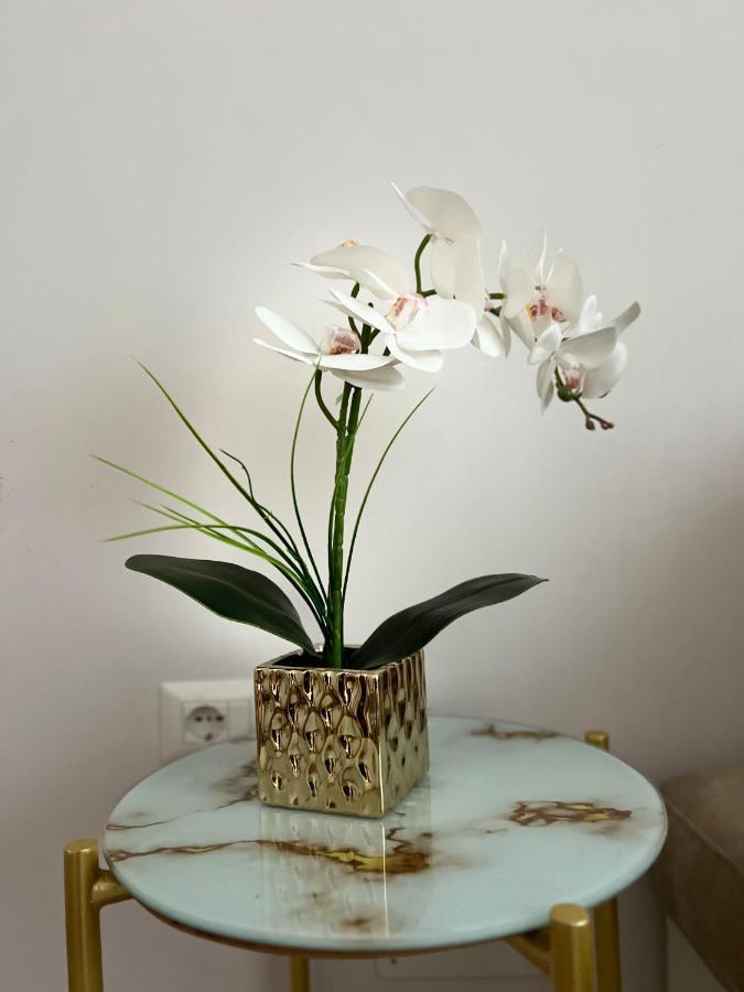 Experience New Bazaar 02 Apartment Tirana